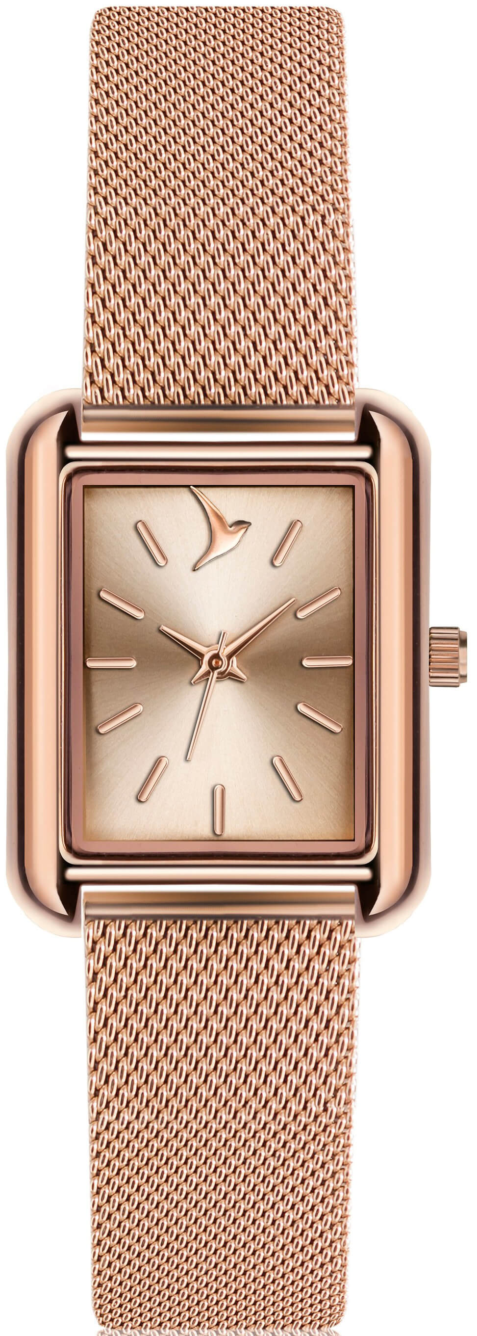 Emily Westwood Queensland Rose Gold Mesh Watch ECL-3216