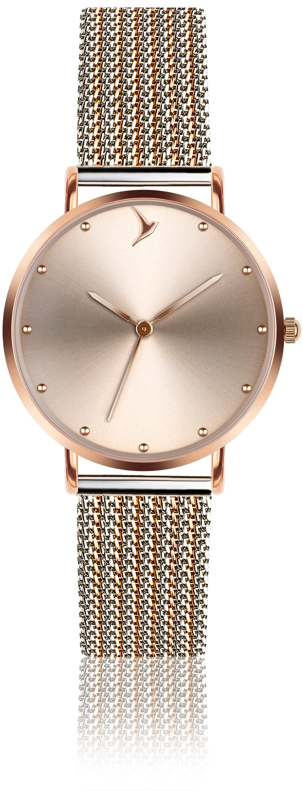 Emily Westwood Santa Marta ECB-2718