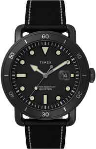 Timex Waterbury TW2U01800D7
