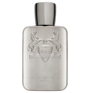 Parfums de Marly Pegasus parfémovaná voda pro muže 125 ml PPDEMPEGASMXN100634