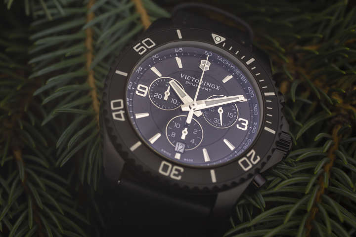 ibach, switzerland 31.03.2020 the close up of victorinox man watch stainless steel case black clock face dial swiss quartz mechanical watch swiss made manufacture lying on spruce branches